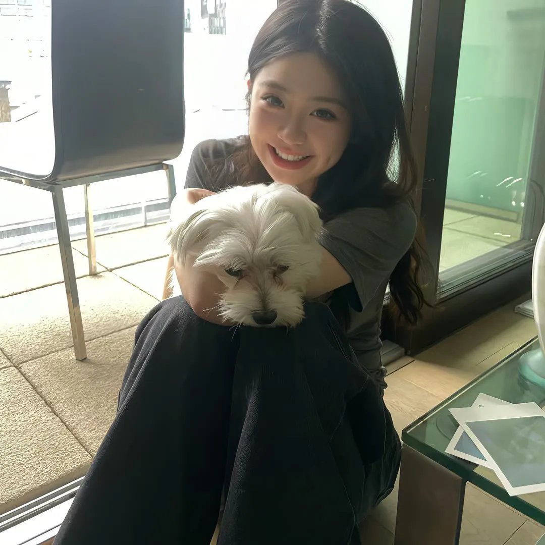 鱼与猫